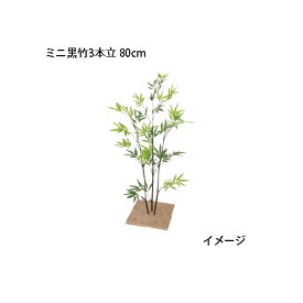 【楽天市場】黒竹の通販