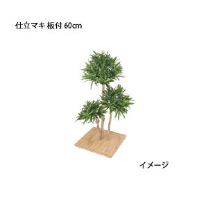 ipjlHA d}L t 60cm(GD-84N 21607900)m^JV[ |pi GNXeA _@ 돤X]