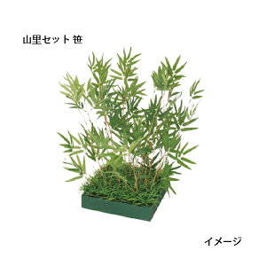 ipjlHA RZbg (GD-227@33544200)m^JV[ |pi GNXeA _@ 돤X]