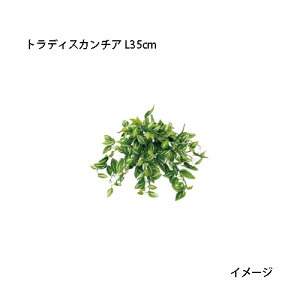 ipjnMOlHA gfBXJ`A L35cm(GN-97@21681900)m^JV[ |pi GNXeA _@ 돤X]