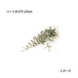 ipjnMOlHA n[gJY L55cm(GN-94@21676500)m^JV[ |pi GNXeA _@ 돤X]
