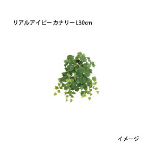 ipjnMOlHA AACr[ Ji[ L30cm(GN-93@21673400)m^JV[ |pi GNXeA _@ 돤X]