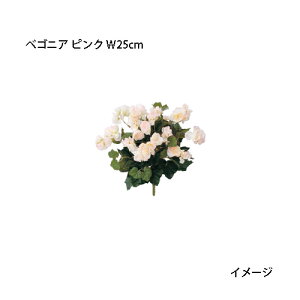 ipjOhJo[  lHAxSjA sN W25cm(GN-34P@21648200)m^JV[ |pi GNXeA _@ 돤X]