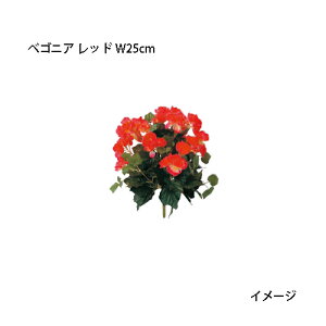 ipjOhJo[  lHA xSjA bh W25cm(GN-34R@21647500)m^JV[ |pi GNXeA _@ 돤X]