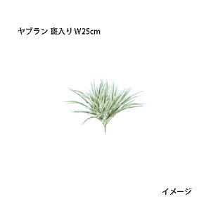 ipjOhJo[  lHA u  W25cm(GN-69W 33426100)m^JV[ |pi GNXeA _@ 돤X]