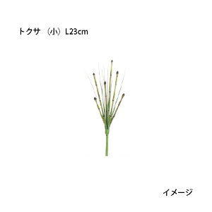 ipjOhJo[  lHA gNT ij L23cm(GN-80S@33390500)m^JV[ |pi GNXeA _@ 돤X]