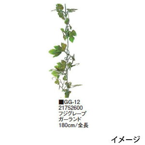 O[ObY tWO[v K[h 180cm/S(GG-12 21752600)pm^JV[ |pi GNXeA _@ 돤X]