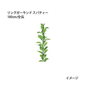 ipjK[h lHA OK[h XpeB[ 180cm/S(GG-54 21738000)m^JV[ |pi GNXeA _@ 돤X]