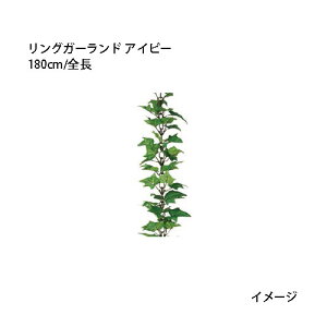 ipjK[h lHA OK[h ACr[ 180cm/S(GG-53 21737300)m^JV[ |pi GNXeA _@ 돤X]