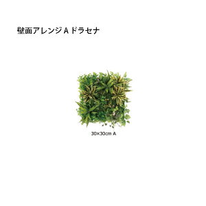 (p) lHA ǖʃAW 30×30cm A hZi (33167300 GD-203A) (^JV[ |pi GNXeA _@ 돤X)