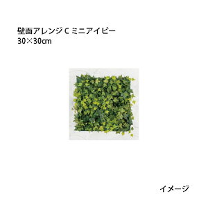 (p) lHA ǖʃAW 30×30cm C ~jACr[ (33169700 GD-203C) (^JV[ |pi GNXeA _@ 돤X)