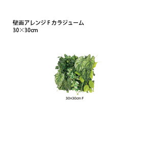 (p) lHA ǖʃAW 30×30cm F JW[ (33172700 GD-203F) (^JV[ |pi GNXeA _@ 돤X)