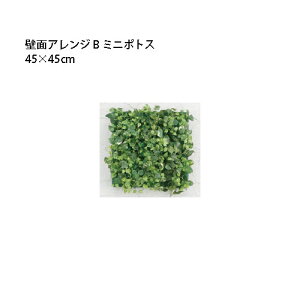 (p) lHA ǖʃAW 45×45cm B ~j|gX (33577000 GD-201B) (^JV[ |pi GNXeA _@ 돤X)