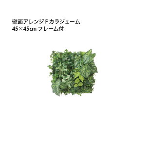 (p) lHA ǖʃAW 45×45cmt[t F JW[ (33537400 GD-201FF) (^JV[ |pi GNXeA _@ 돤X)