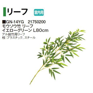 ^JV[ (p) lHA O[fR E\E| [t CG[O[ L80cm (GN-14YG 21750200)