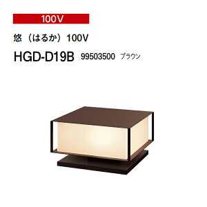 ^JV[ 100V aCg Ii͂邩j100V HGD-D19B 99503500 uE(^JV[ GNXeA 둢 DIY)