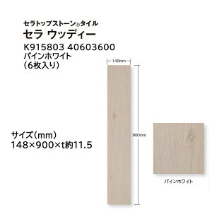 ^JV[ ZgbvXg[ ^C Z EbfB[ :6 (K915803 40603600 pCzCg)