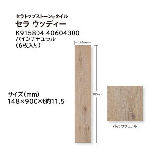 ^JV[ ZgbvXg[ ^C Z EbfB[ :6 (K915804 40604300 pCi`)