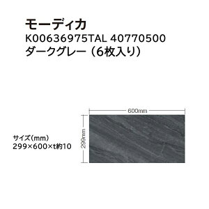 ^JV[ ^CEXg[ [fBJ :6 (K00636975TAL 40770500 _[NO[)