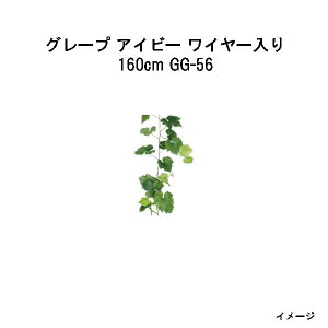 O[ObY O[v ACr[ C[ 160cm/S(GG-56 33700200)pm^JV[ |pi GNXeA _@ 돤X]