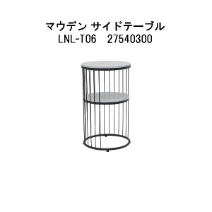 ^JV[@}Ef TChe[u(LNL-T06@27540300) (GNXeA K[ft@j`[ 돤X)