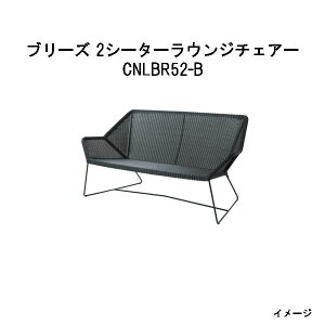 ^JV[ u[Y 2V[^[EW`FA[(CNLBR52-B 32637200)ubN (GNXeA K[ft@j`[ 돤X)