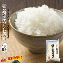 楽天市場】コシヒカリ 白米 5合の通販