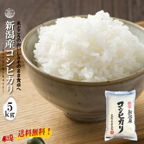 楽天市場】お米5キロ 送料無料の通販