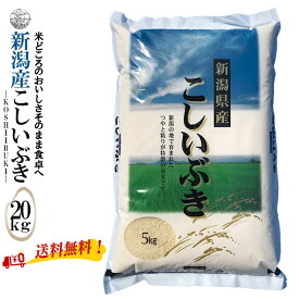 新米【令和7年産】 新潟産こしいぶき 白米20kg （5kg×4袋）
