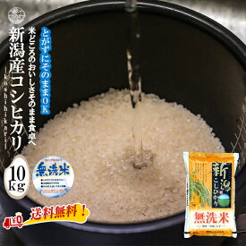 産地直送 【令和5年産】 無洗米 新潟産コシヒカリ 10kg （5kg×2袋）