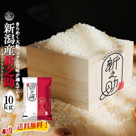 特別セール 【 令和7年産 】 新潟県産 新之助 白米 10kg 5kg × 2袋 新潟産 送料無料 新潟 しんのすけ 新…