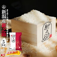 特別セール 新之助 【 令和7年産 】 新潟県産 新之助 白米 5kg 5kg×1袋 新潟産 送料無料 新潟米 新潟 し…