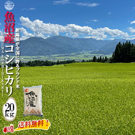 産地直送 【令和6年産】 魚沼産 コシヒカリ 白米20kg (5kg×4袋) 新潟県産 送料無料 魚沼 特A 1等 新潟 こしひかり おこめ お米 米 米20kg 米20キロ お米20キロ 白米 コメブランド米