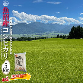 産地直送 【令和6年産】 魚沼産 コシヒカリ 白米5kg (5kg×1袋) 新潟県産 送料無料 魚沼 特A 1等 新潟 こしひかり おこめ お米 米 米5kg 米5キロ お米5キロ 白米 コメブランド米 お歳暮