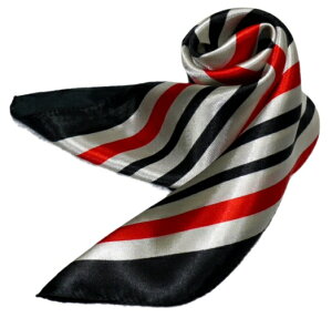 킢VNXJ[t@ 60cm`XJ[t{@ ƐXJ[t N₩Ŋ܂؂₩UP@ɁAfjɁAobOɁAɎglCXJ[t