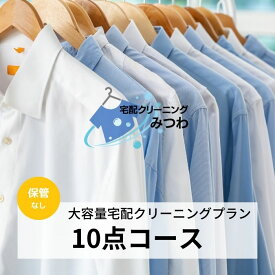 【レビュー投稿で100円OFFクーポン】宅配クリーニング　10点パック 宅配クリーニング　クリーニング　衣替え　新生活　洗濯　宅配　ネットクリーニング 送料無料