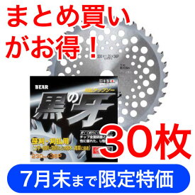 草刈機用チップソー U型埋込「黒の牙」255（10インチ）　30枚入り【7月末までの限定価格！！】