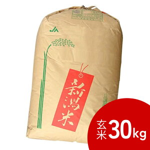 令和7年度米 一等米 新潟県産コシヒカリ 玄米30kg