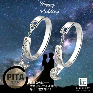 指輪 フリーサイズ リング シルバー リング フリーサイズ シルバーリング シルバー925 ダイヤモンドリング ダイヤ 指輪 揺れる レディース メンズ 星 925 ブランド シンプル