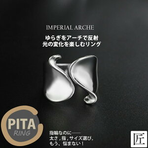 yyV1ʁzw t[TCY [TAKUMI] O Vo[ Vo[925  Vv Y fB[X