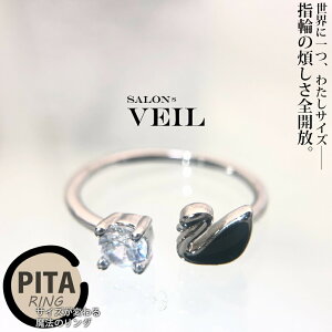 小さい ダイヤ 指輪の人気商品 通販 価格比較 価格 Com 小さい ダイヤ 指輪の人気商品 通販 価格比較 価格 Com