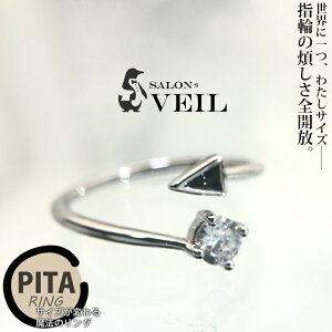 �w�� �t���[�T�C�Y �_�C�������h �l�����w ���f�B�[�X �����O �V���o�[ �����A�����M�[ �V���o�[925 ���� ������� �V���v��