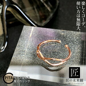 �y�y�V1�ʁz�w�� �t���[�T�C�Y �����O �l�����w �w�� �s���N�S�[���h ���f�B�[�X �����O �����A�����M�[ �V���o�[925 ���� ������� �V���v�� �K�тȂ�