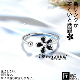 スーパーセール目玉商品【楽天1位】[TAKUMI]ピタリング 指輪 フリーサイズ リング シルバー925 シンプル