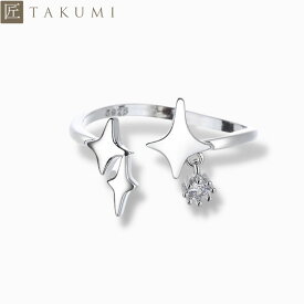 [TAKUMI]ピタリング リング 指輪 フリーサイズ レディース 星座 星 シルバーリング 華奢 アレルギー ダイヤモンド シルバー シンプル 可愛い おしゃれ かわいい 錆びない