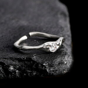 w t[TCY _ChO v|[YO O Vo[O fB[X ꗱ_C uh w w