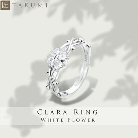 [TAKUMI]ピタリング 指輪 レディース サイズ調整 リング フリーサイズ ダイヤモンド