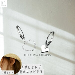 C[Jt Zbg n[g sAX CJt CO fB[X Vv  l Vv