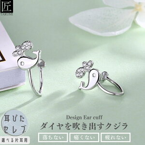 C[Jt Y  Vo[ C[JtX Vo[925 mz[sAX AM[   Vv KтȂ