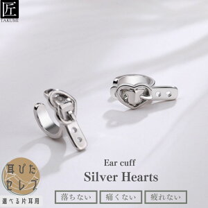 C[Jt C[JtX CJt CO AM[Ή n[g CO fB[X Vo[  C[JtX Vo[925 Ԃ xg  Vv KтȂ